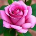 Amalia Jimenez - Facebook
