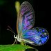 Amalia Muller - Facebook