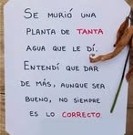 Amalia Ines Castillo Munoz - Facebook