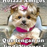 Amalia Muñoz - @amaliamunoz49 - Instagram