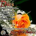Amalia Robles - @rblsamalia - Instagram