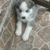 KimberlyMolina García - @amaliarobles81 - TikTok