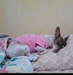Amalia Sanchez - Facebook