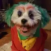 Amalia - @amaliaserrano922 - TikTok