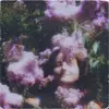Amalia Rose Small - @amalia.rose.small - TikTok