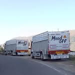 Aman Jaswal - @__amanjaswal__7768 - Instagram