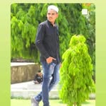 Aman Khalifa - @amankhalifa480 - Instagram