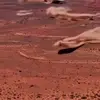 كوارث طبيعية حول العالم🌎 - @aman.mahil - TikTok