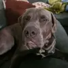 amandaabel59 - @amandaabel59 - TikTok