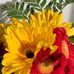 Amanda Anne Abrahamson - Facebook