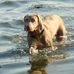 Amanda Acheson - Facebook
