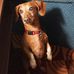 Amanda Ackerman - Facebook