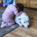 Amanda Aitken - @panda13970 - Instagram