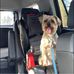 Amanda Aitken - Facebook