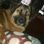 Amanda Akins - @not_awesome_just_me - Instagram