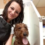 Amanda Alessi - @amandaspetsalon - Instagram