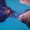 Amanda Alexander - @amandaalexander1029 - TikTok