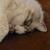 Amanda Alpaugh-Student - Facebook