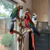 Flock around and find out - @amandaandrew973 - TikTok