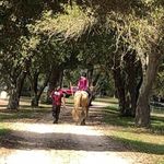 Amanda Applegate - @applegate102 - Instagram