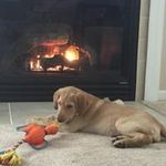 Birdie Smith - @amandaarchambault5 - Instagram
