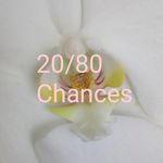 Amanda Ashby - @chances20_80 - Instagram