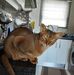 Amanda Ashby - Facebook