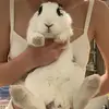 amandaashea - @amandaashea - TikTok