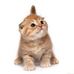 Amanda Aversa - Facebook