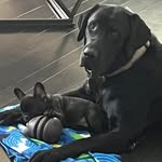 Amanda Backes - @amandaraebackes - Instagram