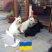 Amanda Barratt - Facebook