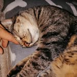 amanda_battaglia73 - @amanda_battaglia73 - Instagram
