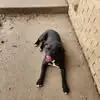 Amanda Baugh - @amanda.baugh5 - TikTok