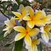 Amanda Baxley - Facebook