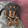 Amanda.Beeson - @amanda.beeson - TikTok