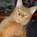 Amanda Lea Bulckaert - Facebook