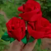 amanda - @amandabenavides09 - TikTok