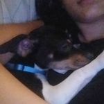 Amanda Benavides - @amanda.benavides.777 - Instagram