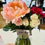 Amanda Bergeron - @acajunperspective - Instagram