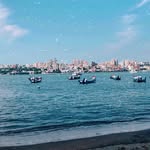 Amanda Beverly - @ponponzanned1 - Instagram
