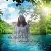 Amanda Dale Beverly - @amandadale1964 - TikTok