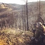 Amanda Bewley - @amandaring1 - Instagram