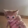 Amanda Biggs - @amanda.biggs4 - TikTok