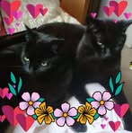 Amanda Biggs - Facebook