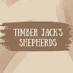 Amanda Binkley - @timber_jacks_shepherds_ - Instagram