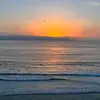amanda.blue - @amanda.blue25 - TikTok