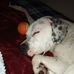 Amanda Blumberg - Facebook