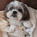 Amanda Boggs - Facebook