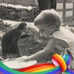 Amanda Staubach Borchers - Facebook