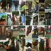 amanda_bott28 - @amanda_bott28 - TikTok